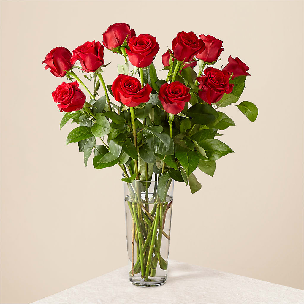 Long Stem Red Rose Bouquet – ALBRIGHT'S INC, Columbus GA