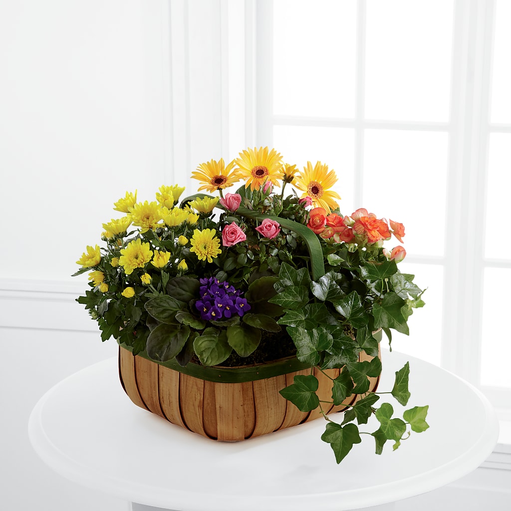 Gentle Blossoms Basket – ALBRIGHT'S INC, Columbus GA