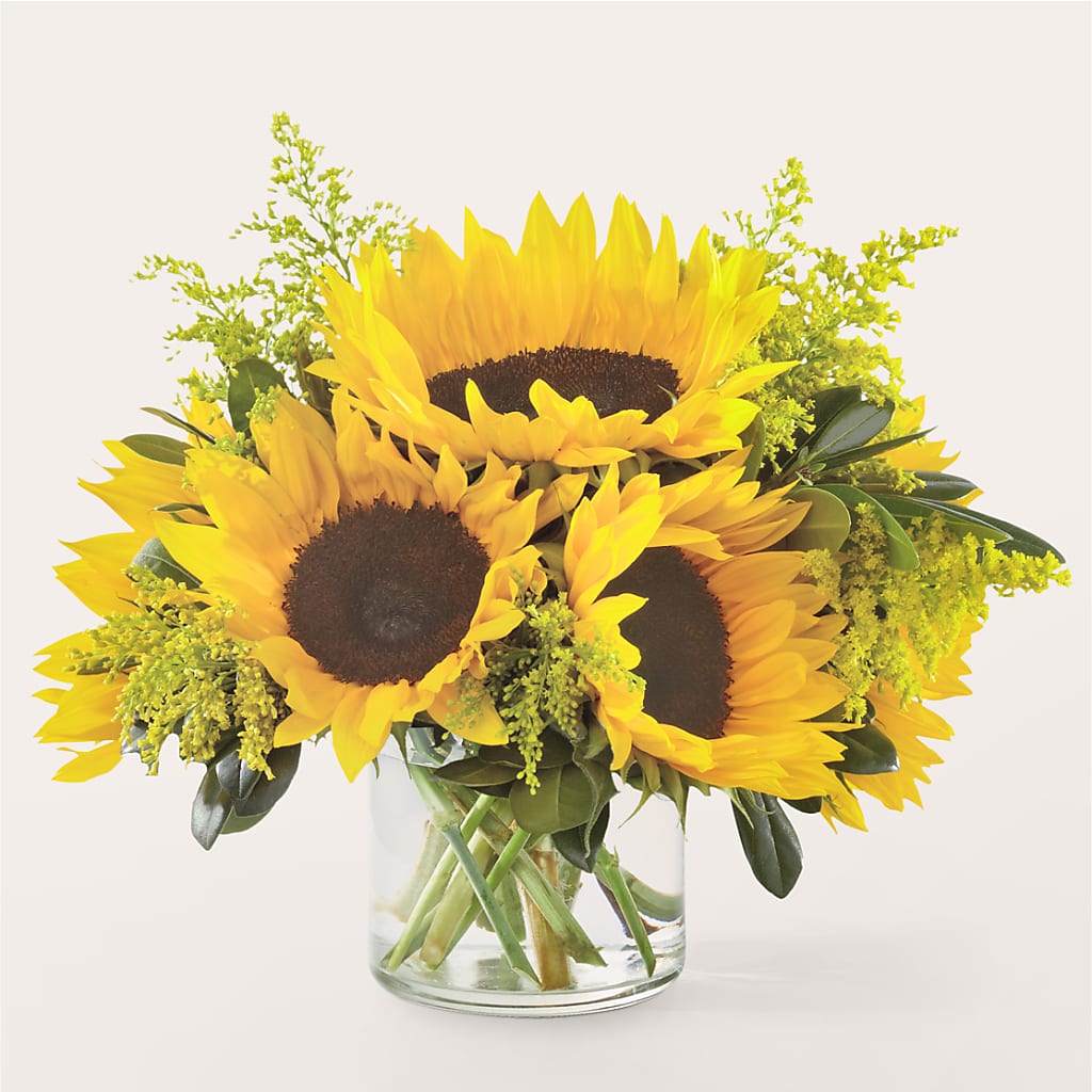 Beaming Sunflower Bouquet – ALBRIGHT'S INC, Columbus GA