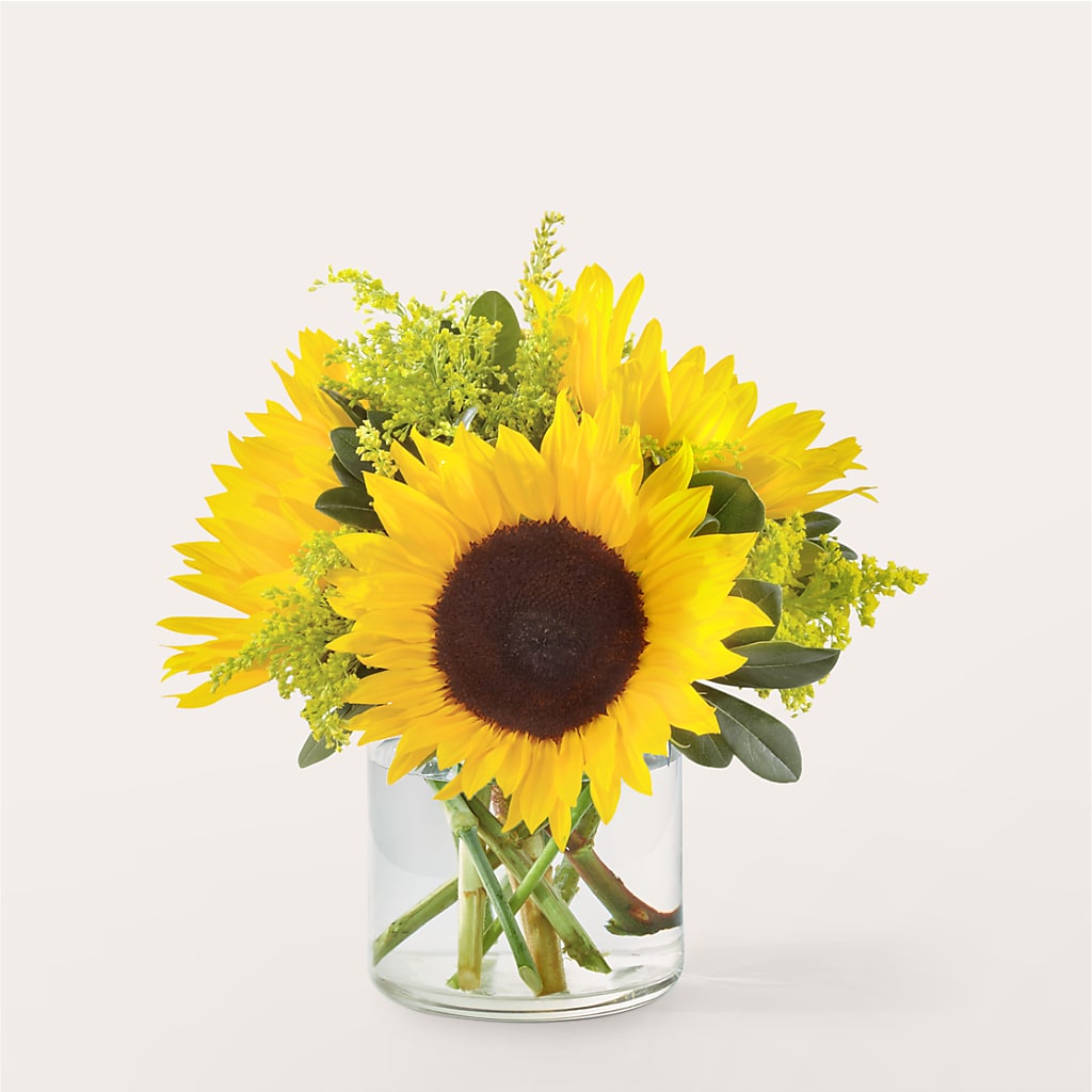 Beaming Sunflower Bouquet – ALBRIGHT'S INC, Columbus GA