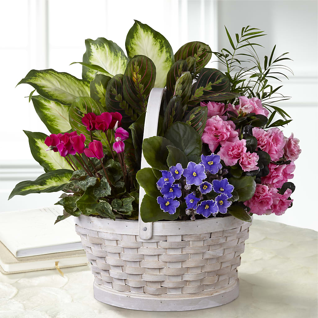 Peaceful Garden Planter – ALBRIGHT'S INC, Columbus GA