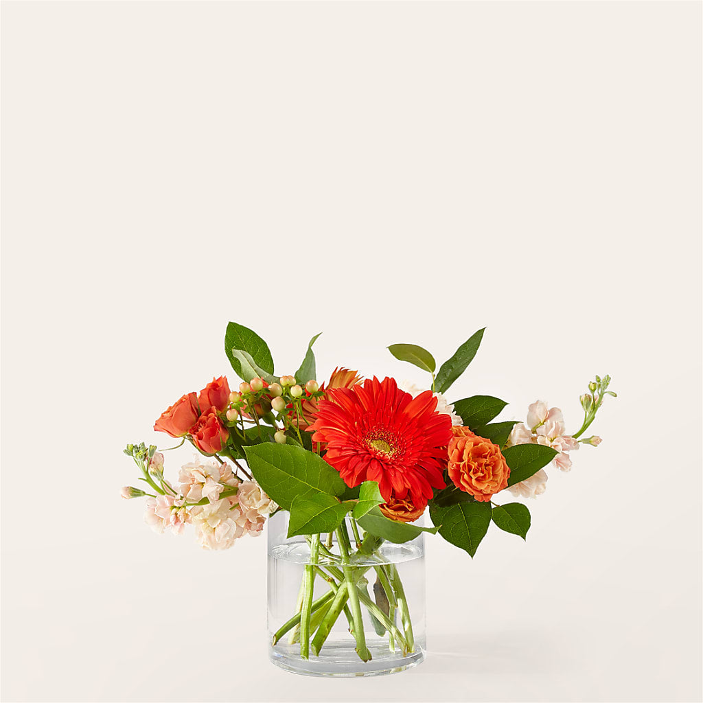 Paloma Please Bouquet – ALBRIGHT'S INC, Columbus GA