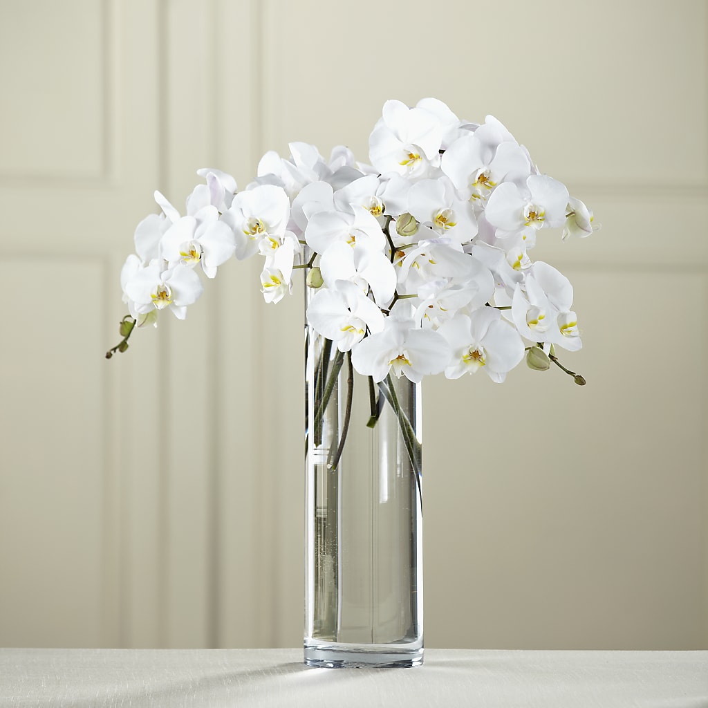 White Phalaenopsis Bouquet – ALBRIGHT'S INC, Columbus GA