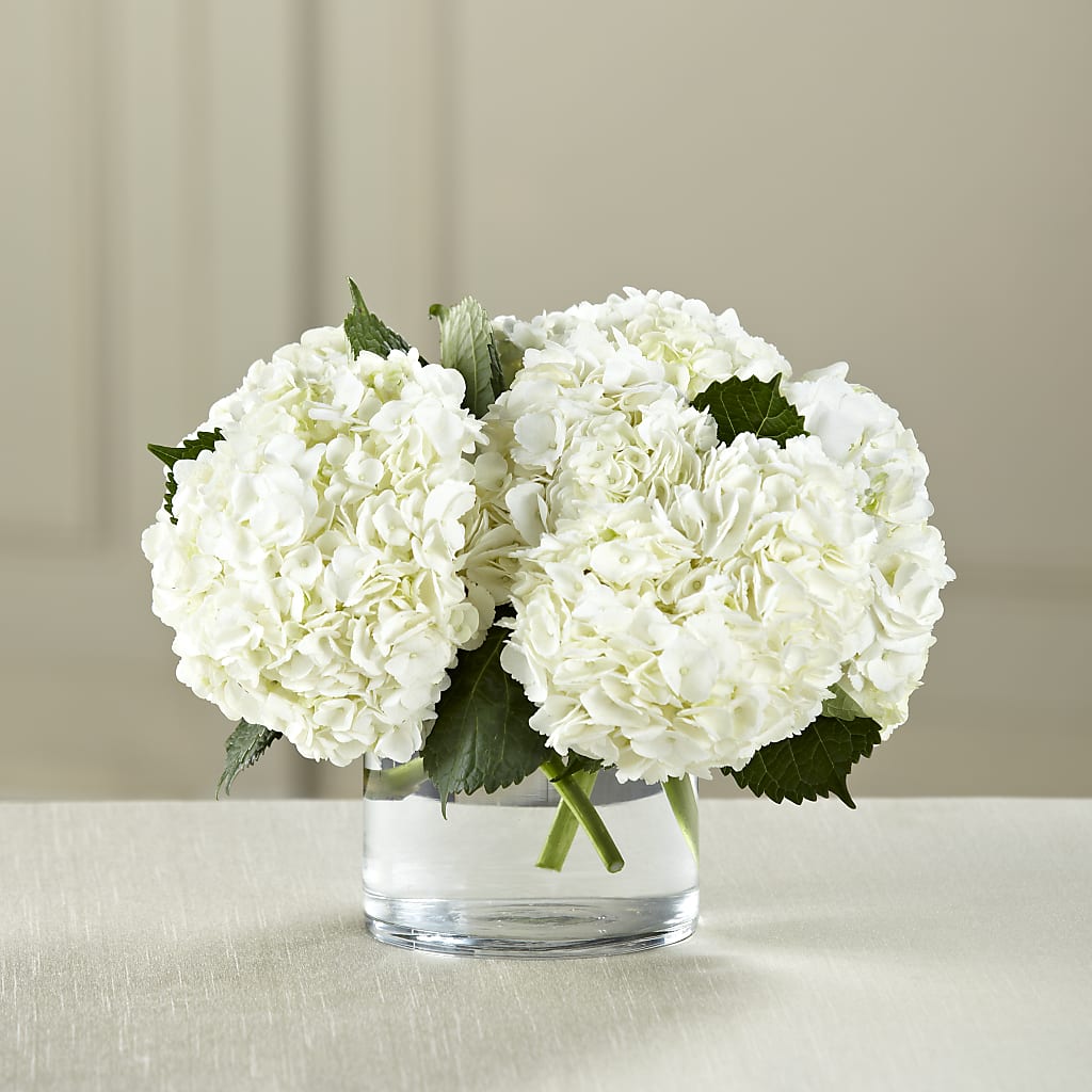 White Hydrangea Bouquet – ALBRIGHT'S INC, Columbus GA