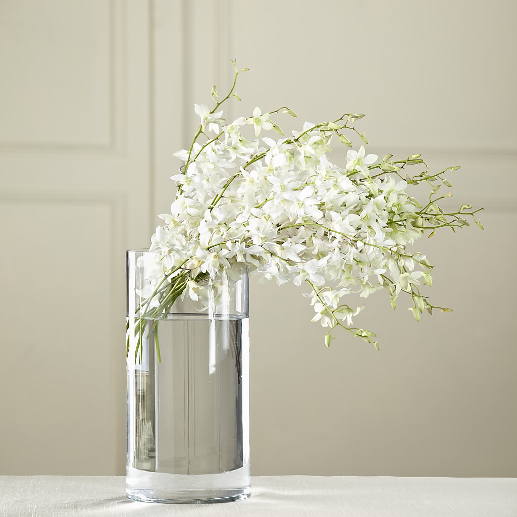 White Dendrobium Bouquet – ALBRIGHT'S INC, Columbus GA
