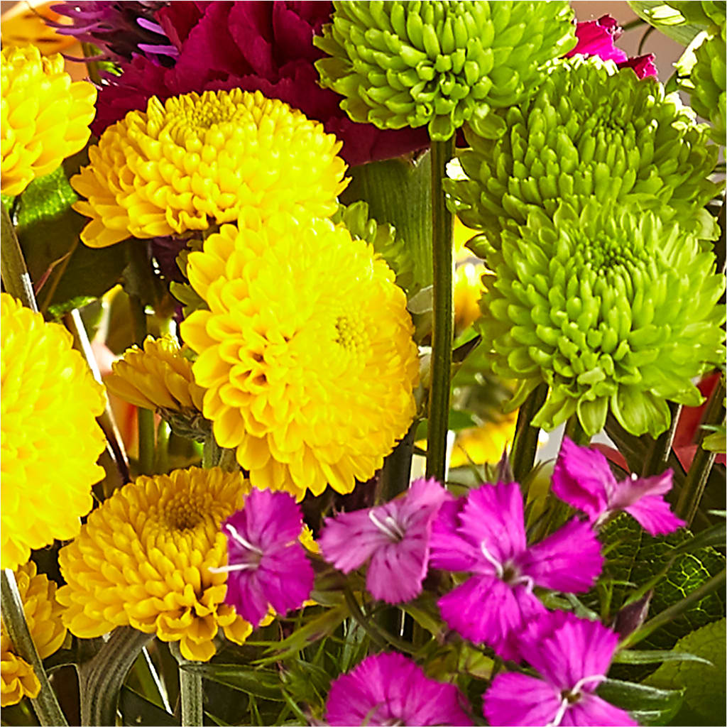 Bold & Bright – A Florist Original – ALBRIGHT'S INC, Columbus GA