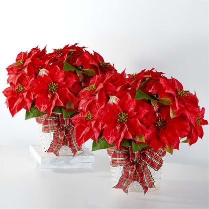 Happiest Holidays Poinsettia Bundle – ALBRIGHT'S INC, Columbus GA