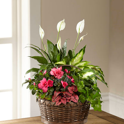 Dream in Pink Dishgarden – ALBRIGHT'S INC, Columbus GA