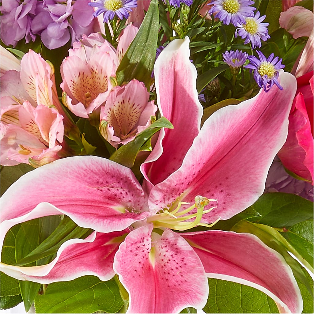 Written in the Stars Bouquet – ALBRIGHT'S INC, Columbus GA