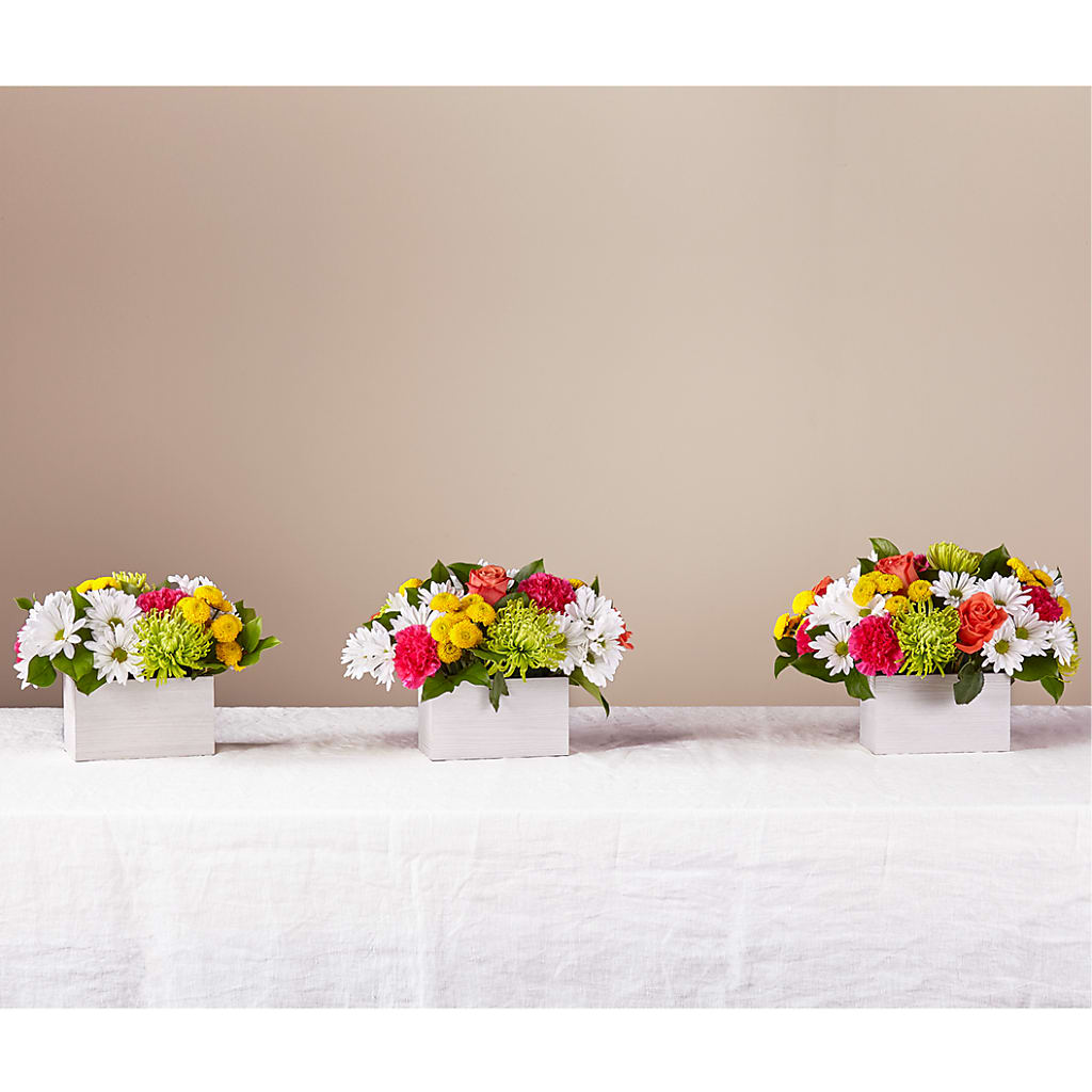 Sorbet Bouquet – ALBRIGHT'S INC, Columbus GA