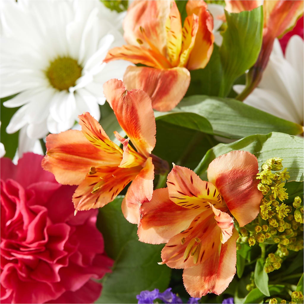 Oopsie Daisy Box Bouquet – ALBRIGHT'S INC, Columbus GA