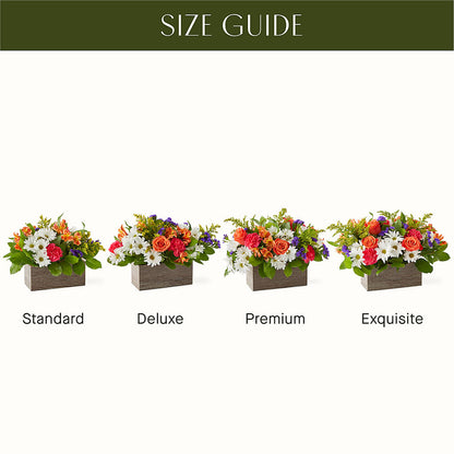 Oopsie Daisy Box Bouquet – ALBRIGHT'S INC, Columbus GA