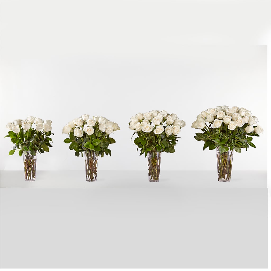 Long Stem White Rose Bouquet – ALBRIGHT'S INC, Columbus GA