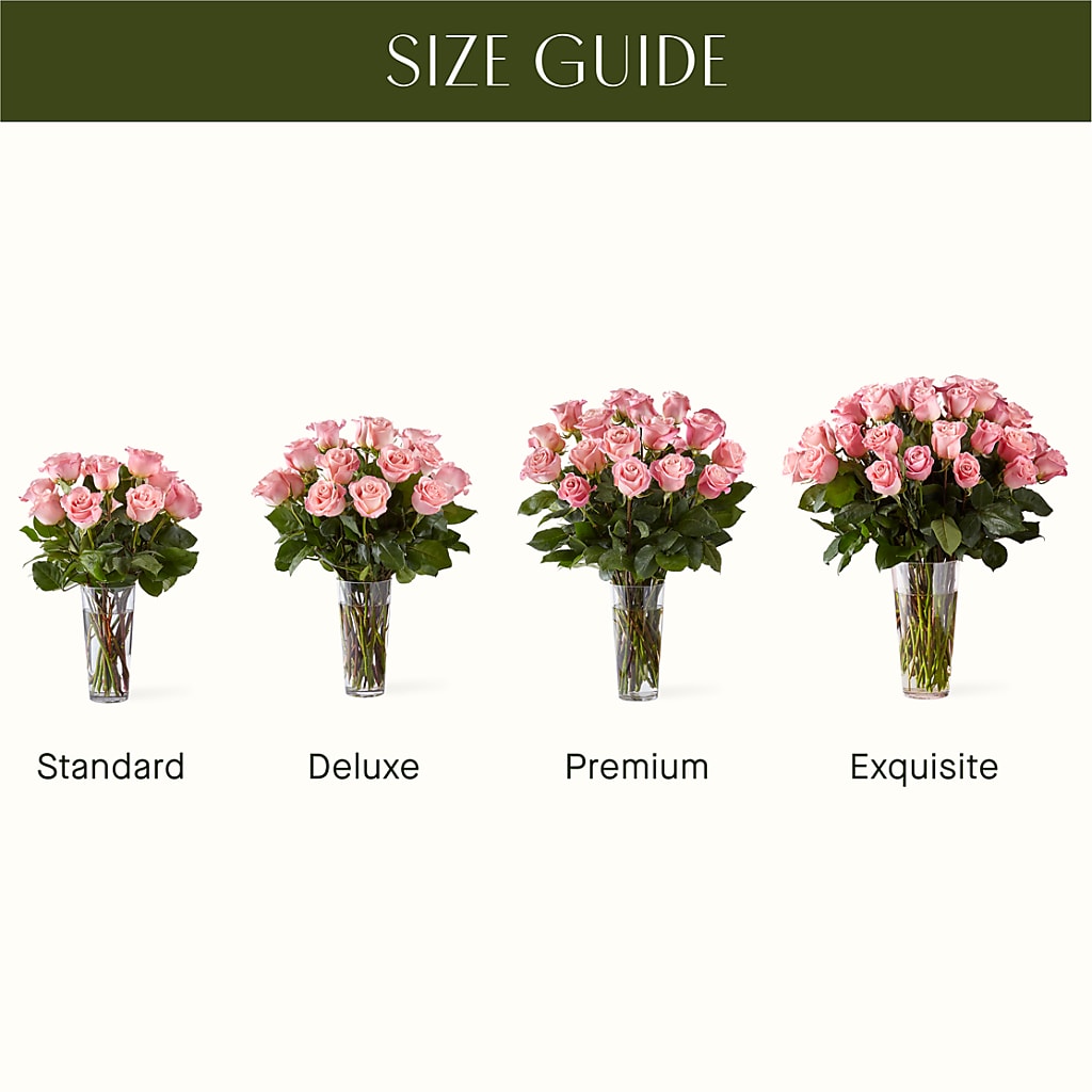 Long Stem Pink Rose Bouquet – ALBRIGHT'S INC, Columbus GA