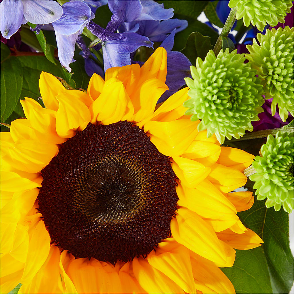 Catching Rays Bouquet – ALBRIGHT'S INC, Columbus GA