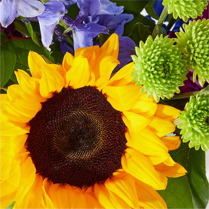 Catching Rays Bouquet – ALBRIGHT'S INC, Columbus GA