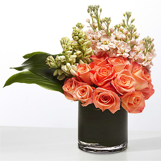 The Moment – ALBRIGHT'S INC, Columbus GA