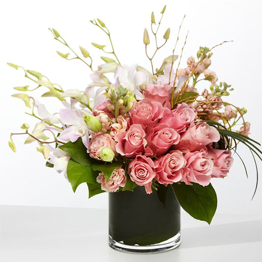 The Muse – ALBRIGHT'S INC, Columbus GA