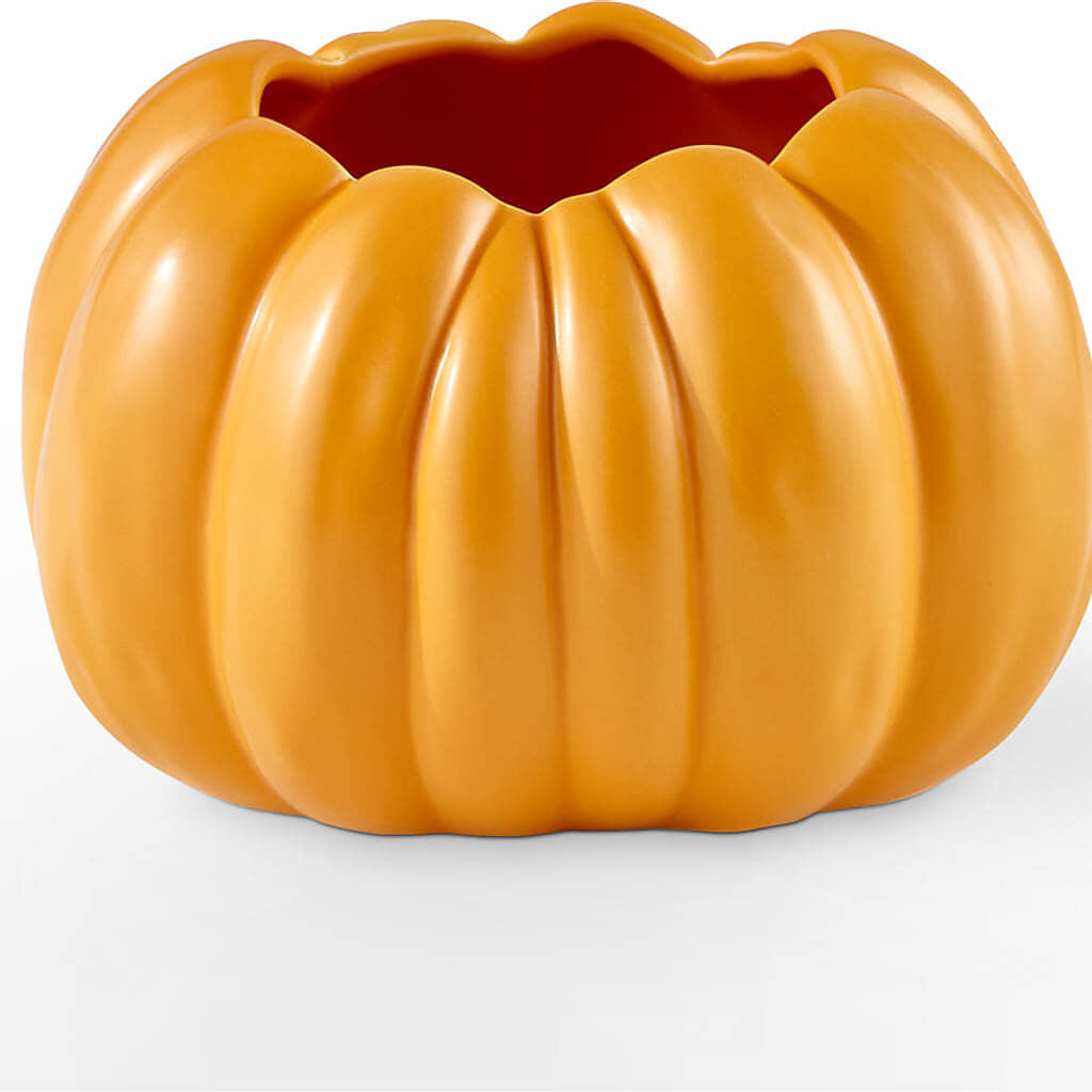 Golden Gourd Pumpkin Bouquet – ALBRIGHT'S INC, Columbus GA