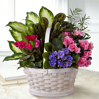 Peaceful Garden Planter – ALBRIGHT'S INC, Columbus GA
