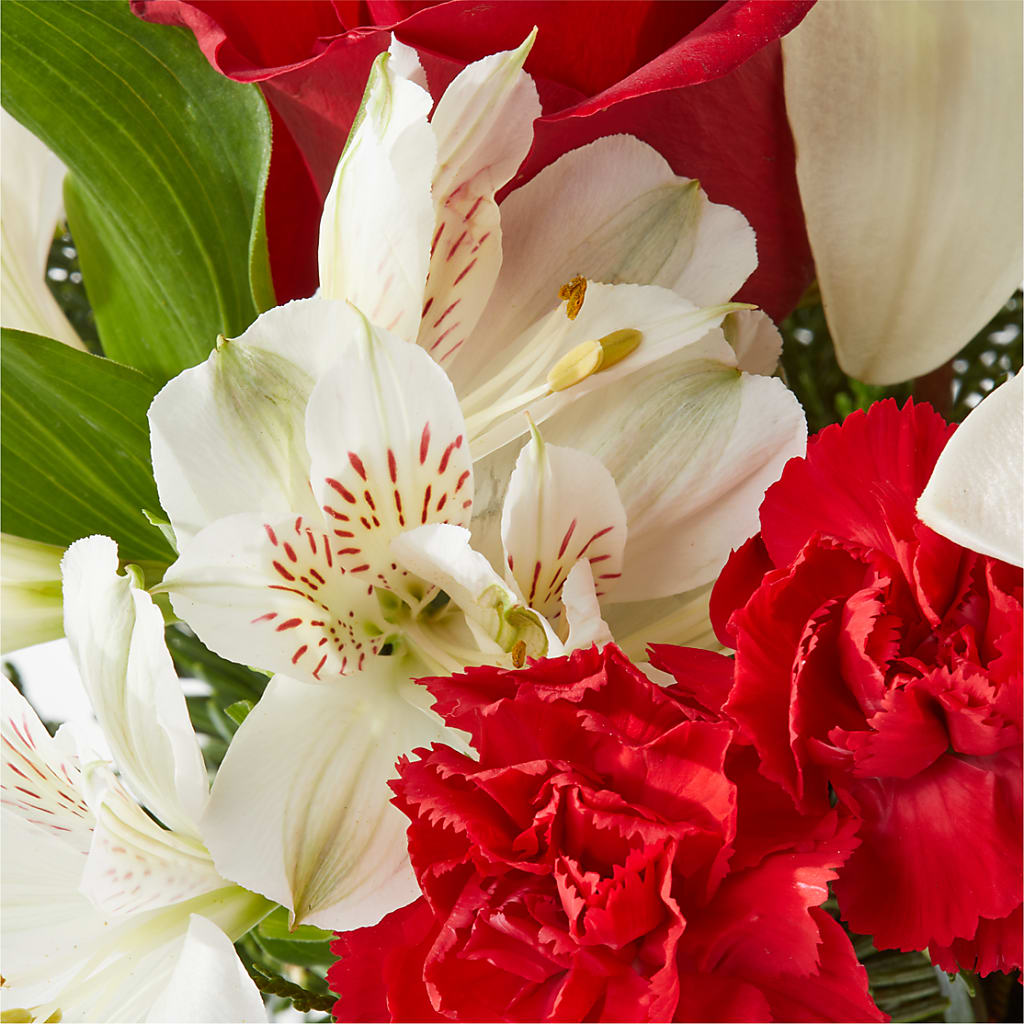 Holiday Season Bouquet – ALBRIGHT'S INC, Columbus GA