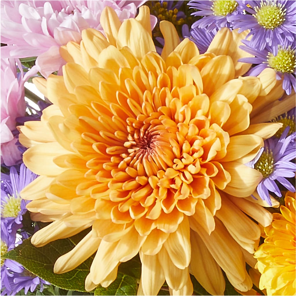 Countryside Bouquet – ALBRIGHT'S INC, Columbus GA