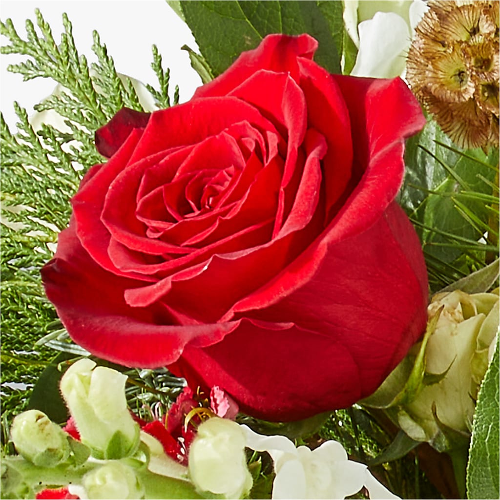Deck the Halls Bouquet – ALBRIGHT'S INC, Columbus GA