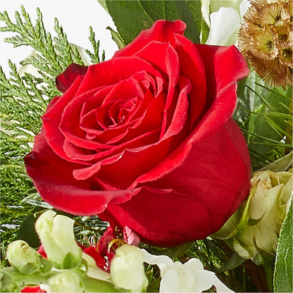 Deck the Halls Bouquet – ALBRIGHT'S INC, Columbus GA
