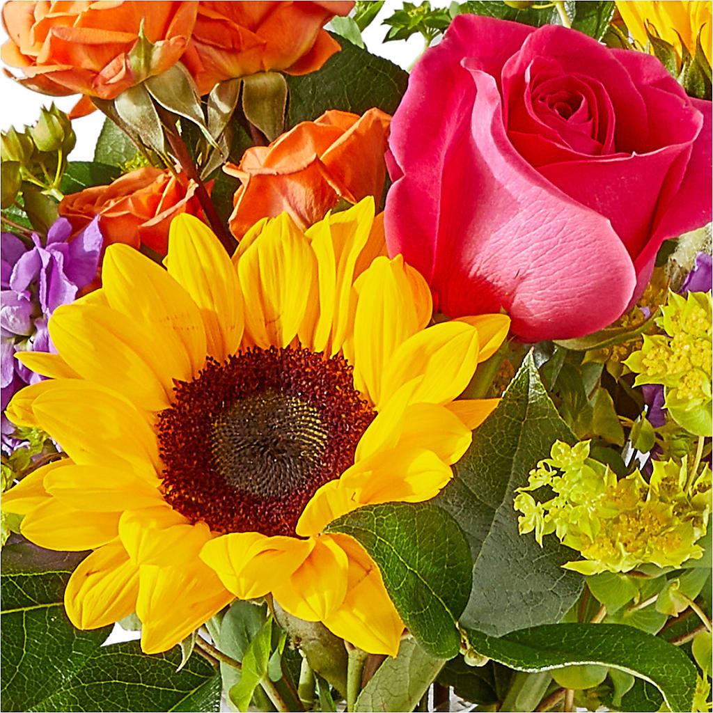 Vibrant Greetings Bouquet – ALBRIGHT'S INC, Columbus GA