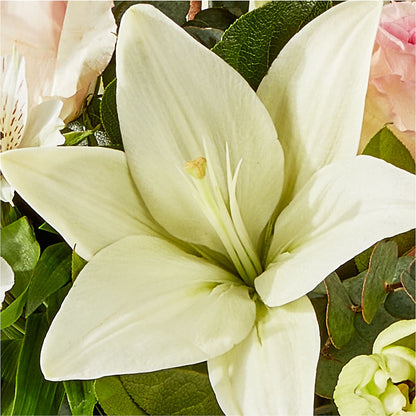Ballet Slippers Bouquet – ALBRIGHT'S INC, Columbus GA