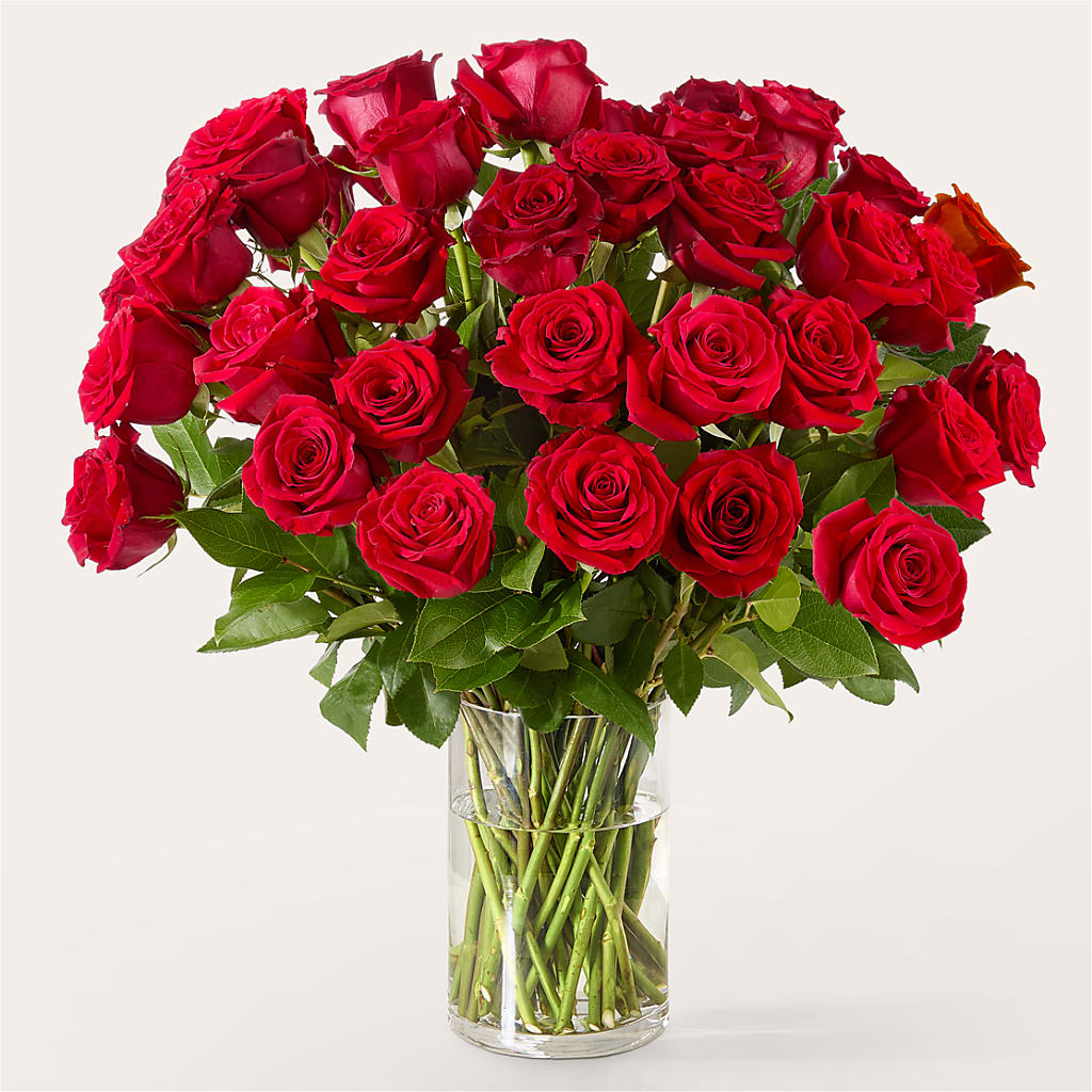 The One Red Rose Bouquet – ALBRIGHT'S INC, Columbus GA