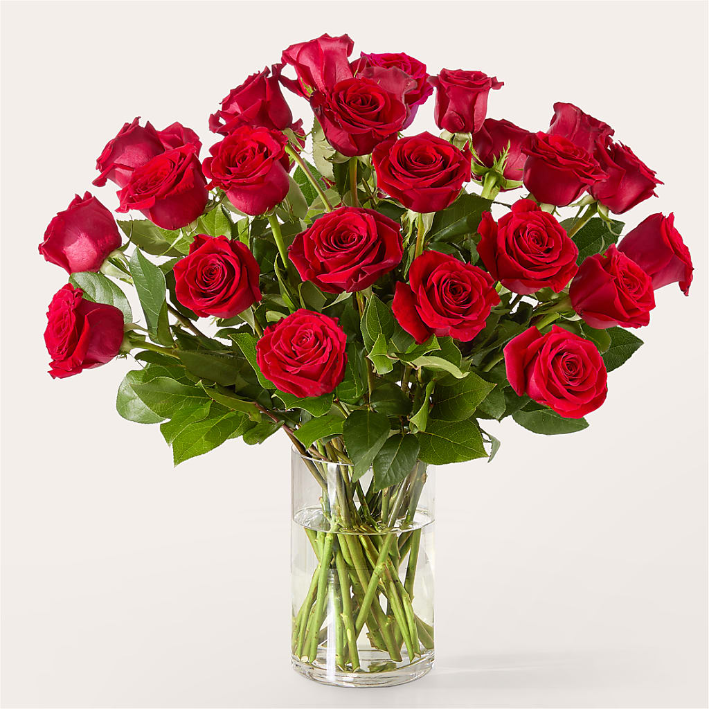 The One Red Rose Bouquet – ALBRIGHT'S INC, Columbus GA