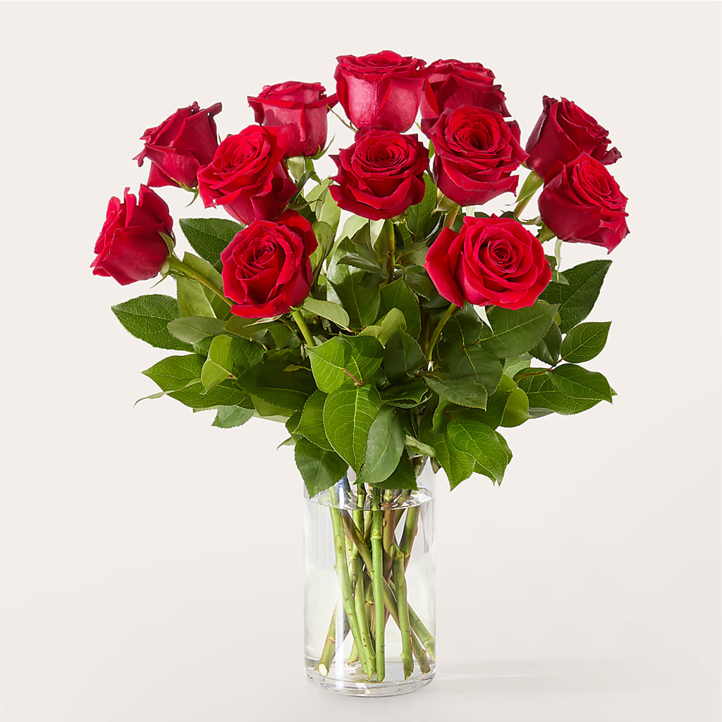 The One Red Rose Bouquet – ALBRIGHT'S INC, Columbus GA