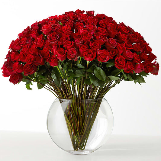 The Idealist – ALBRIGHT'S INC, Columbus GA