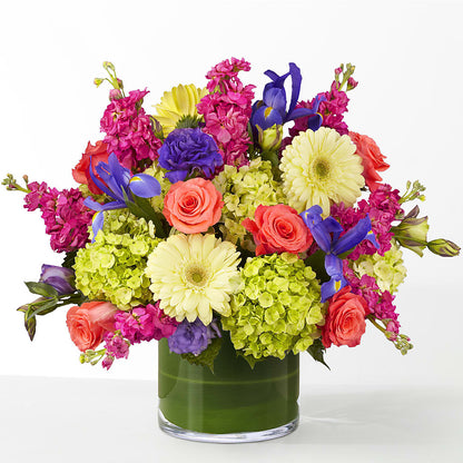 The Couture – ALBRIGHT'S INC, Columbus GA